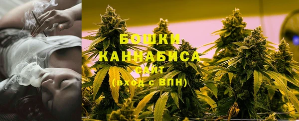 МДПВ Лиски