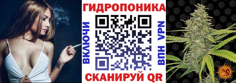 Конопля семена  Купить закладки  Кремёнки 